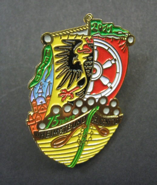 Pin der Kampagne 2011